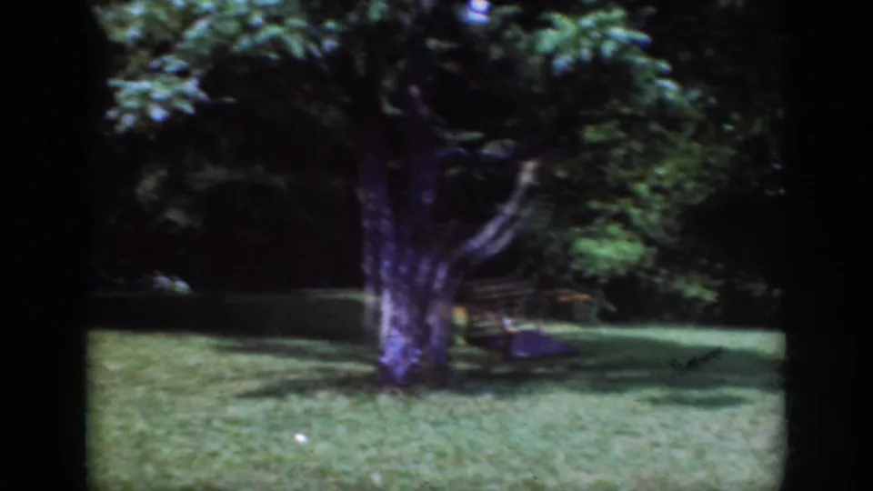 1962 Raleigh 8mm frame showing a large shade tree, grassy lawn, and a wooden bench near the tree line.