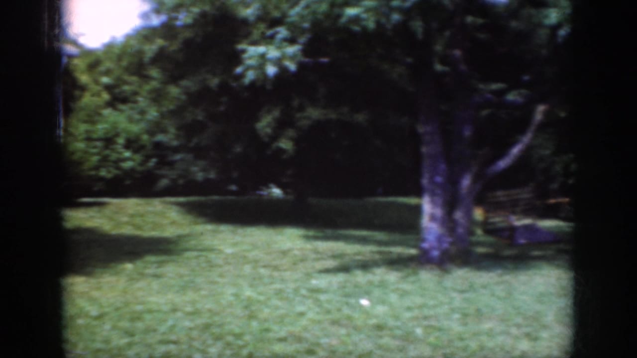 1962 Raleigh home-movie frame showing a green residential lawn, trees, bushes, and a partially obscured house exterior.