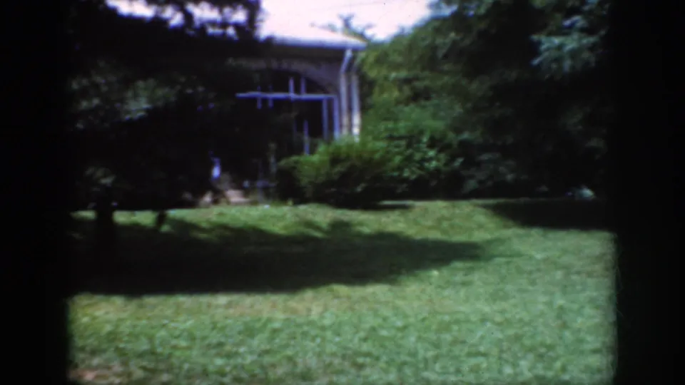 1962 Raleigh residential yard with bright grass, dense plantings, tree shade, and a house window in the background.