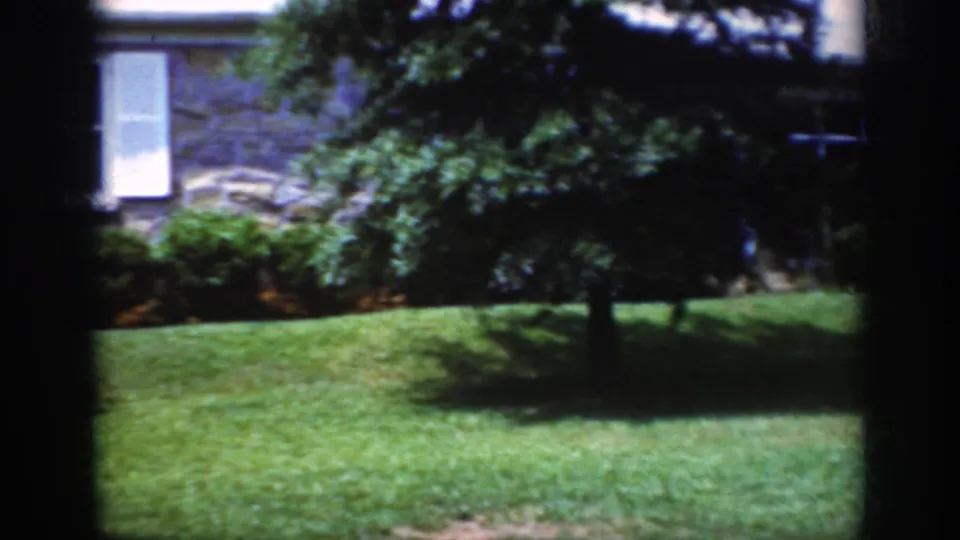 1962 Raleigh home exterior with a stone wall, white shuttered window, green lawn, shrubs, and tree cover.