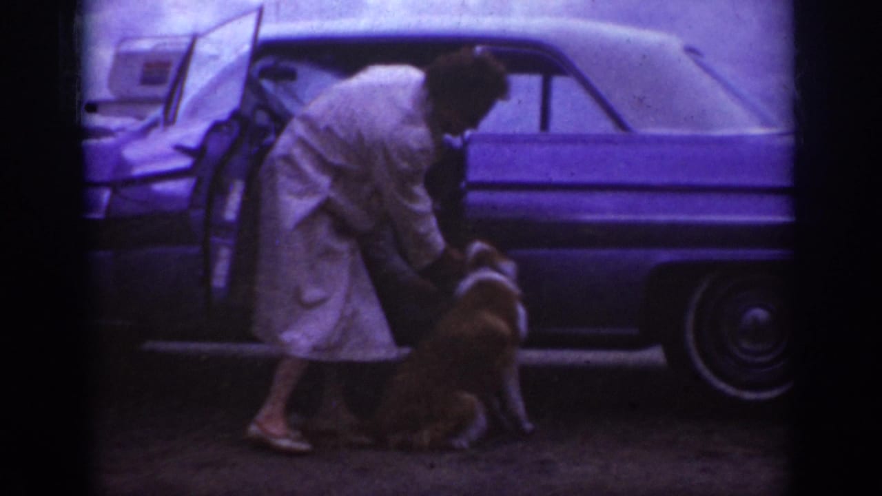 In Raleigh, North Carolina, 1962 home-movie footage, a woman in a light trench coat bends toward a dog beside an open car door.