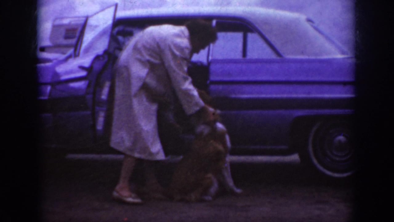 Woman leans over the dog near the open door of a parked automobile.