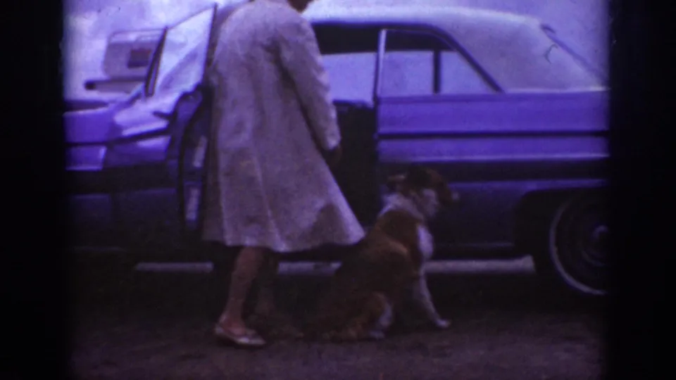 A woman in a light coat stands with a seated brown and white dog beside the open car door in the 1962 Raleigh footage.
