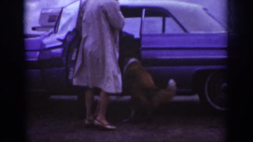 Near the end of the Raleigh 1962 clip, the woman stands by the car while the dog faces the open door and remains outside.