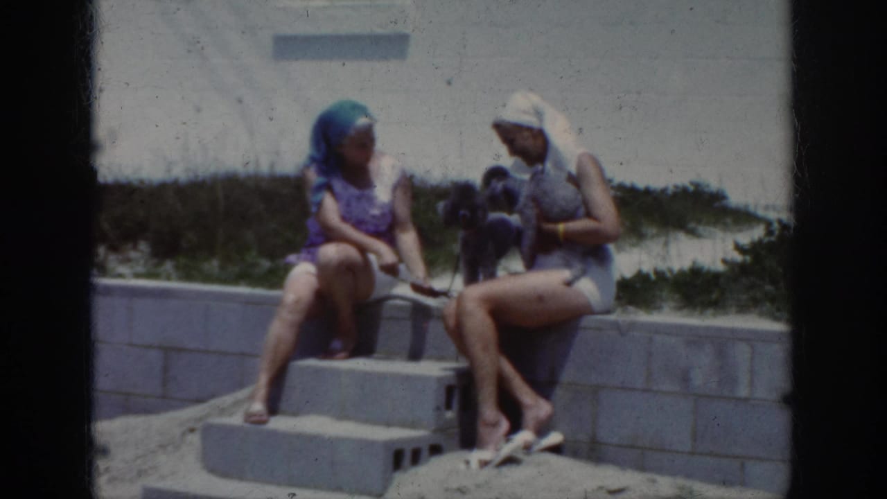Two women in 1960s swimwear sit on concrete steps near sand, facing a small dark poodle in bright outdoor light.