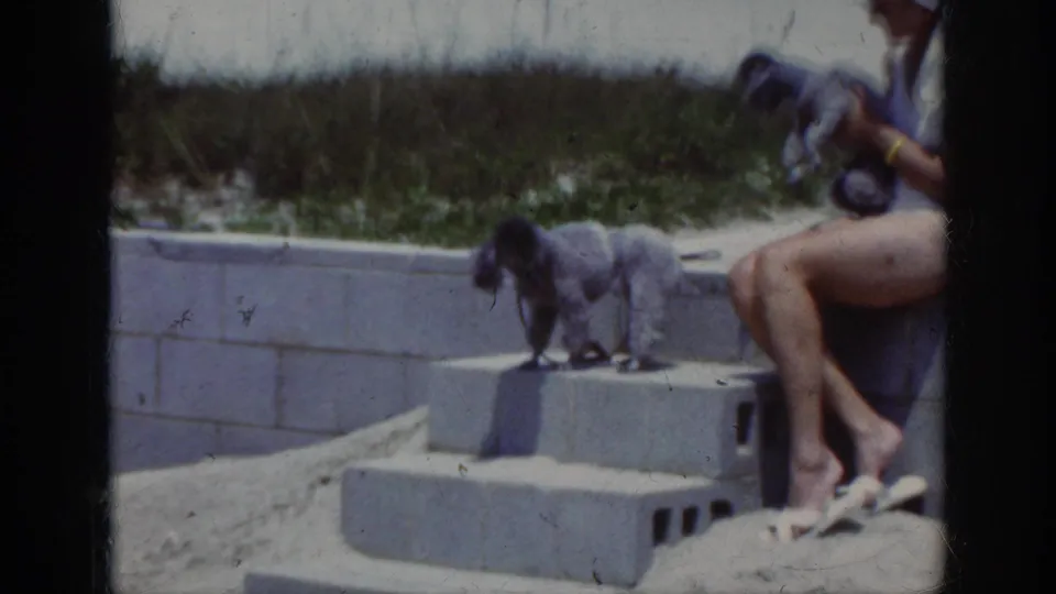 1962 home-movie frame of a small dog standing on concrete beach steps near a seated woman at the beach.