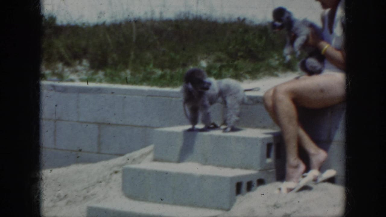 1962 home-movie frame from Raleigh metadata showing a woman seated near concrete steps with one poodle on the blocks and another in her arms.