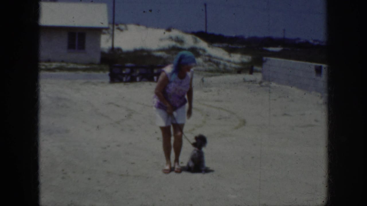 Woman looks down at a small poodle sitting on a leash in an open sandy area.