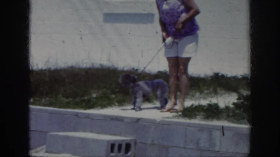 1962 home-movie frame of a small leashed dog paused on a concrete path as the woman stands nearby near sand and beach grass.