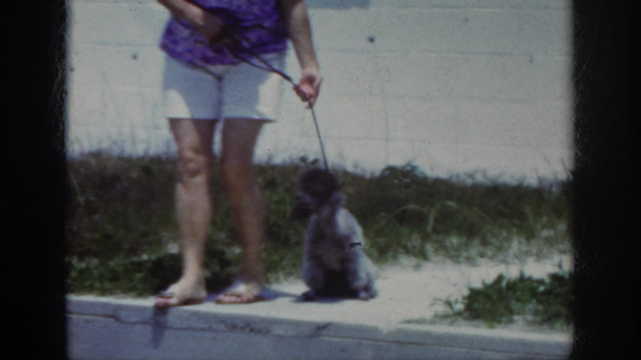 1962 Raleigh home-movie frame showing a woman in a purple top and light shorts holding a leash beside a small poodle near a curb.