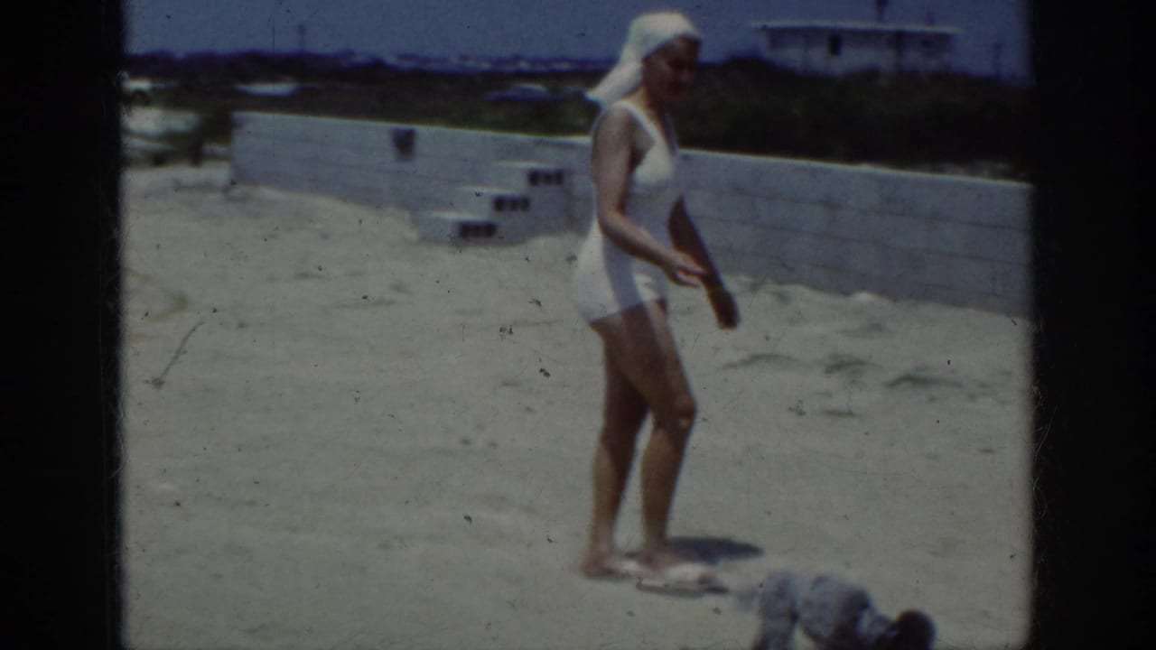 Woman stands on sand as a small dog moves near her feet beside a wall.