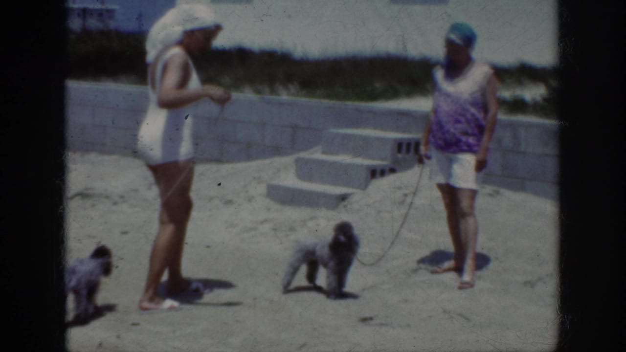 1962 home-movie frame from the Raleigh, North Carolina metadata showing two women with leashed grey poodles on a sandy beach area.