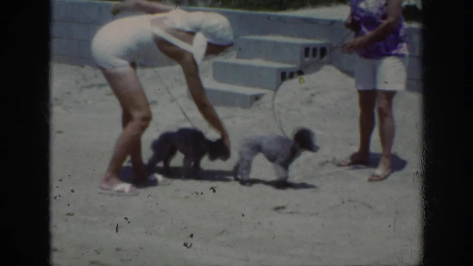 A woman in a white swimsuit bends toward a small grey poodle as another woman stands with a leash in the 1962 home-movie beach scene.