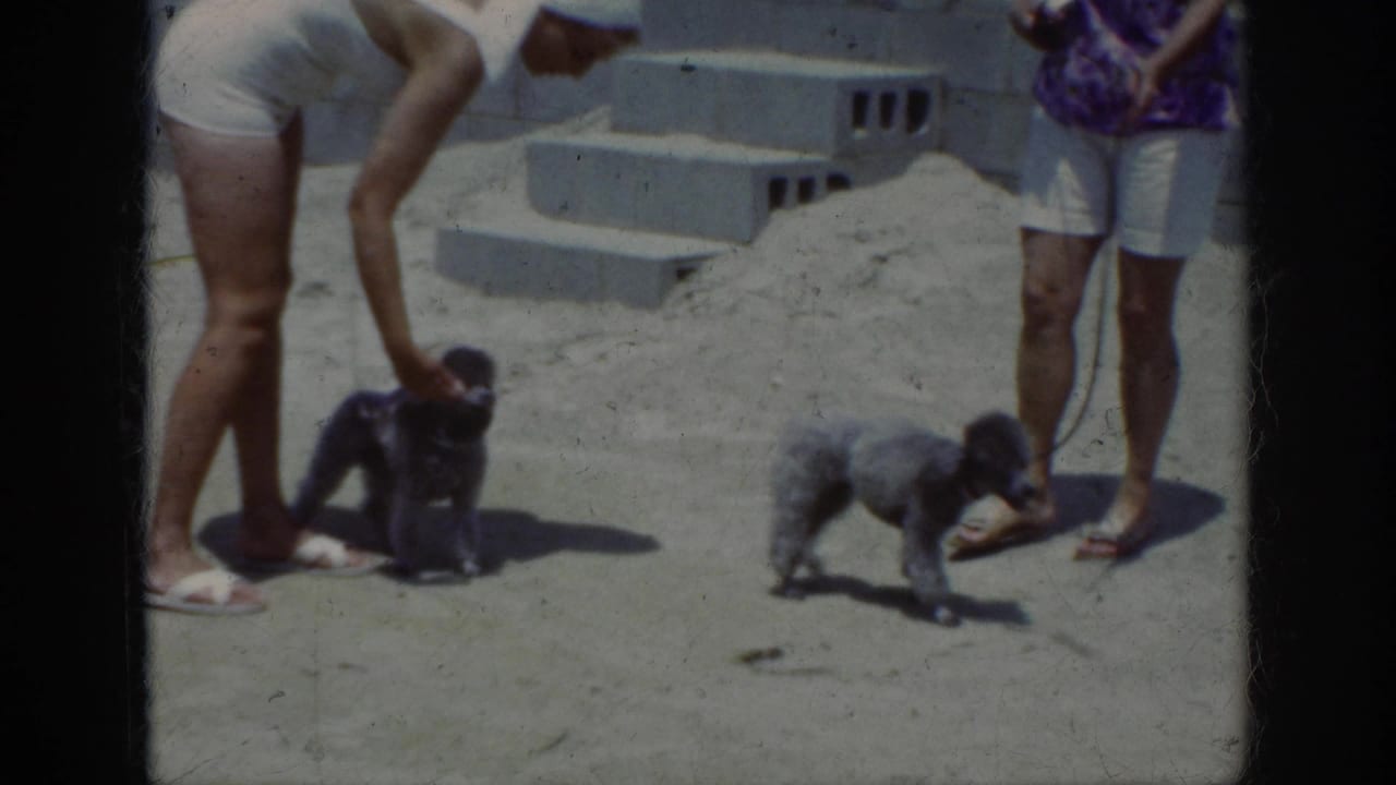 1962 home-movie frame from Raleigh metadata showing two women with leashed poodles on sandy ground near concrete steps.