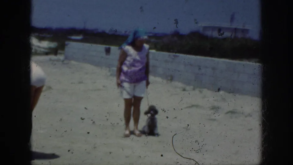 A woman and seated poodle appear near a low wall on sandy ground in faded 8mm footage identified as Raleigh, 1962.