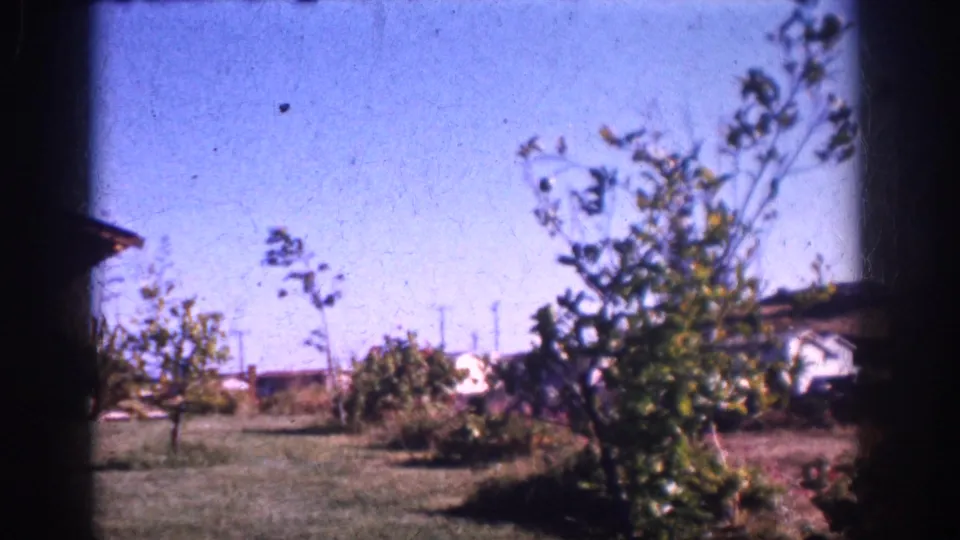 1962 Yorba Linda garden view with lawn, wind-stirred shrubs and trees, nearby rooflines, utility poles, wires, and bright blue sky.