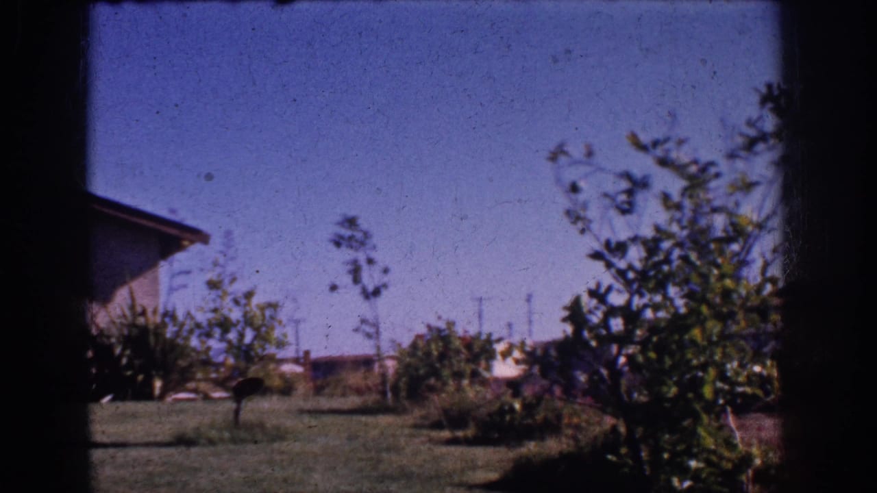1962 Yorba Linda yard view with a sloped-roof house, young trees, shrubs, lawn, and blue sky seen through dark side framing.