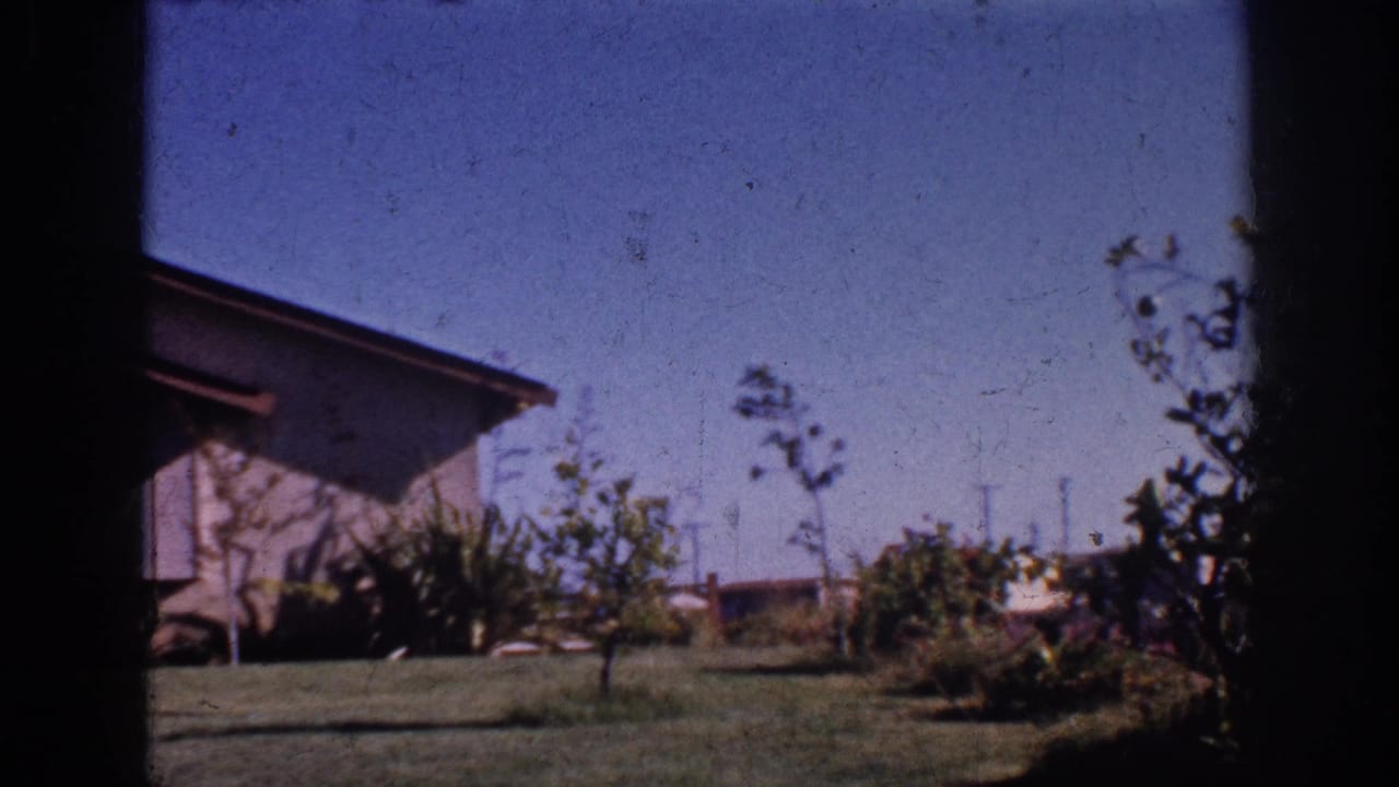 Static 8mm view of a Yorba Linda suburban front yard with a modern house, saplings, shrubs, lawn, and distant fence line.