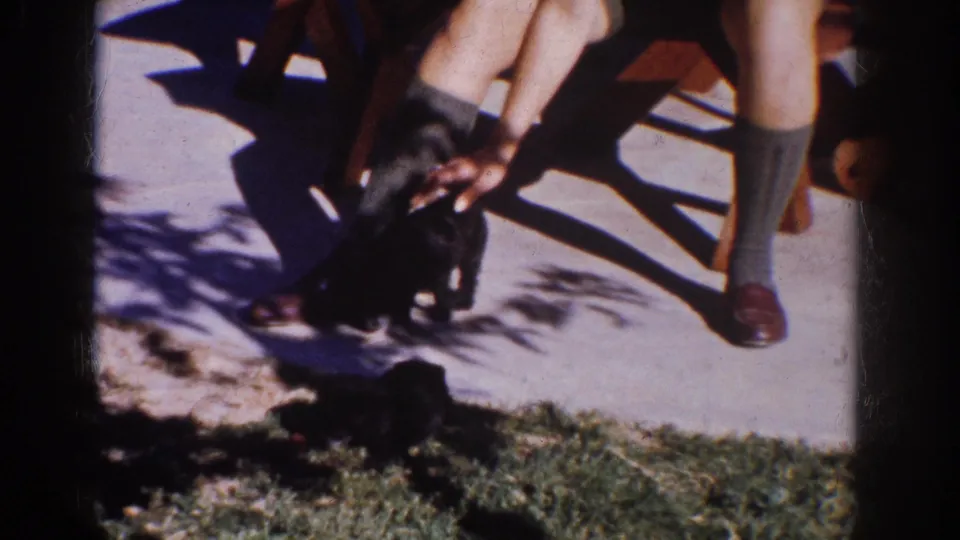 In this 1962 Yorba Linda home-movie frame, a seated person in socks and brown shoes reaches down toward a small dark dog on the patio.