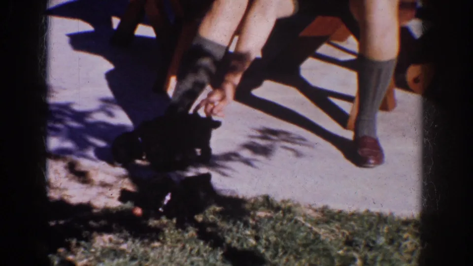 The frame shows small dogs clustered near a seated person's legs on a Yorba Linda patio, with a hand lowered toward them.