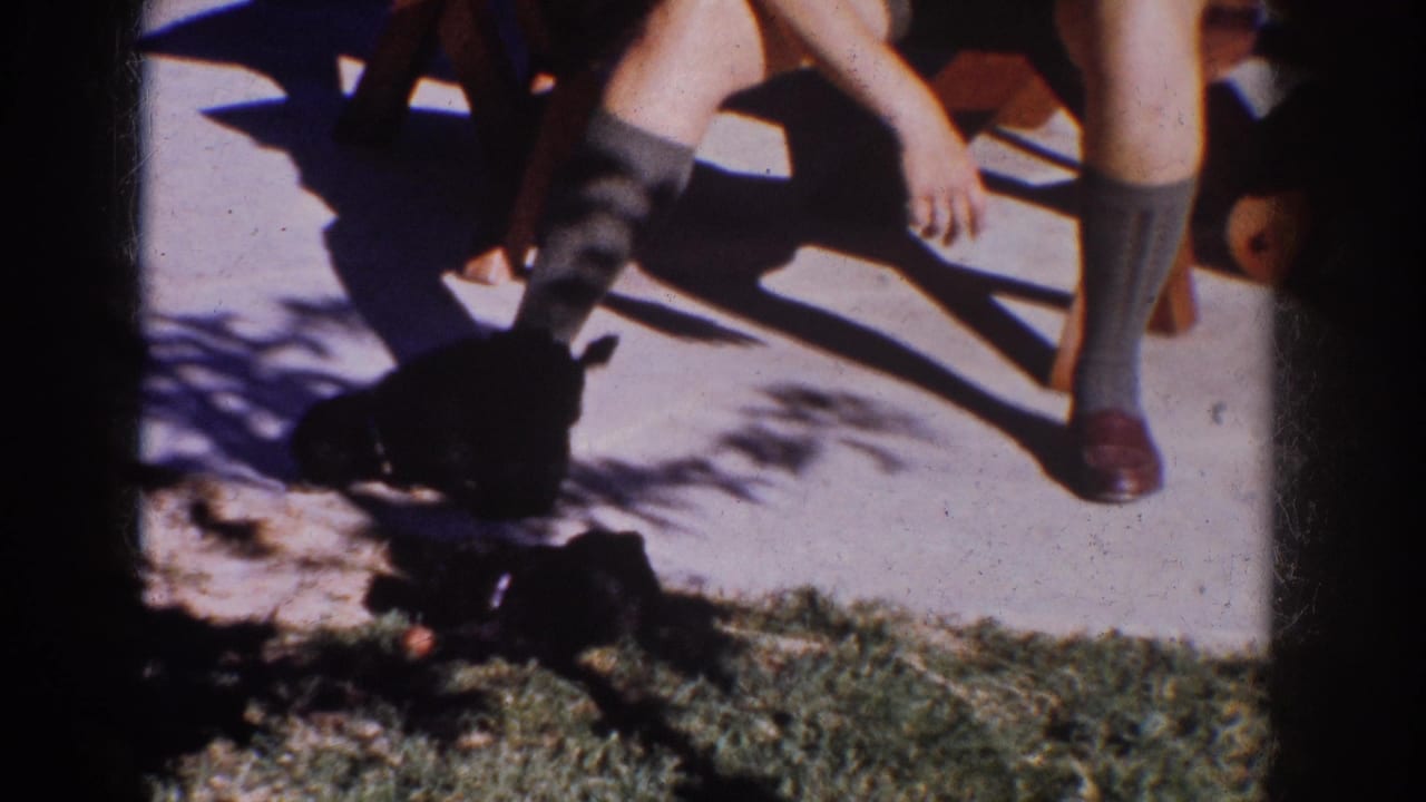 1962 Yorba Linda home-movie frame showing a seated woman’s legs as two small dogs move near concrete and grass.