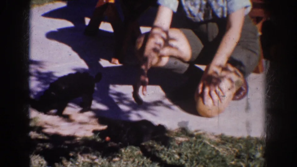 The seated woman leans toward two small dogs on a sunny Yorba Linda patio in this 1962 8mm home-movie frame.