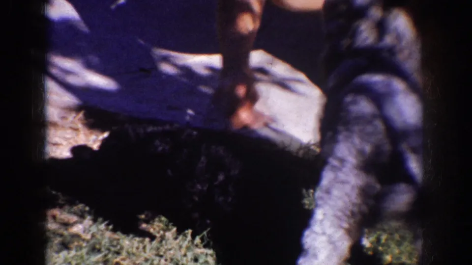 Small black dog partly in shadow on grass beside a person's leg and the pale sidewalk in 1962 Yorba Linda footage.