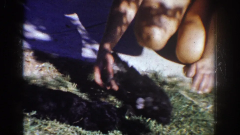 Final 1962 Yorba Linda frame showing a crouched person’s hand on or near a small black puppy on the lawn.