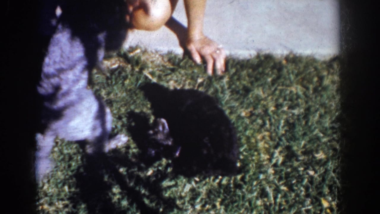 Small black puppy lies on grass while a person crouches nearby at the sidewalk edge.