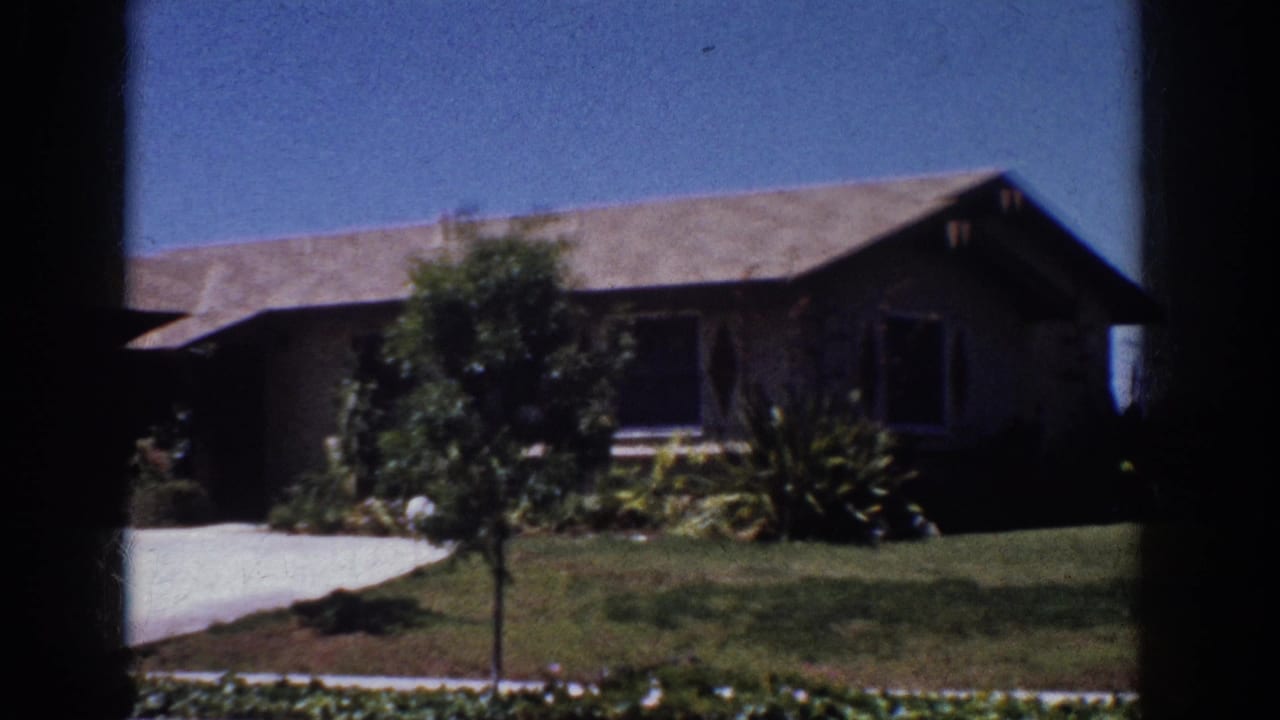 Ranch house front yard with driveway edge, lawn, shrubs, and a young tree.