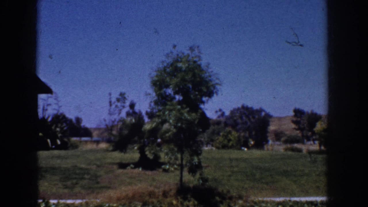 1962 Yorba Linda home-movie view through a dark frame toward an open lawn, scattered trees, low hills, and clear sky.