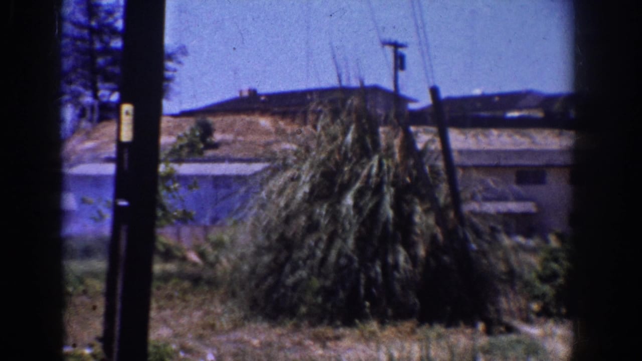 1962 Yorba Linda home-movie frame showing a sunlit suburban yard, low residential buildings, plants, and utility poles through dark gate edges.