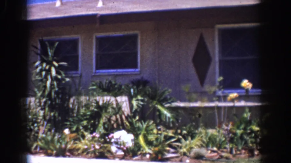 1962 Yorba Linda home exterior frame showing dense front-yard planting, windows, doorway, and yellow flowers near the wall.