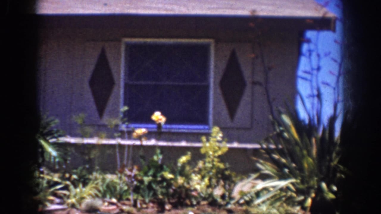 House window and diamond shutters above a garden with succulents and yellow flowers.