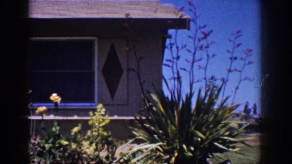 1962 Yorba Linda frame with a shaded window, diamond shutter, tall succulent stalks, garden greenery, and lawn edge.