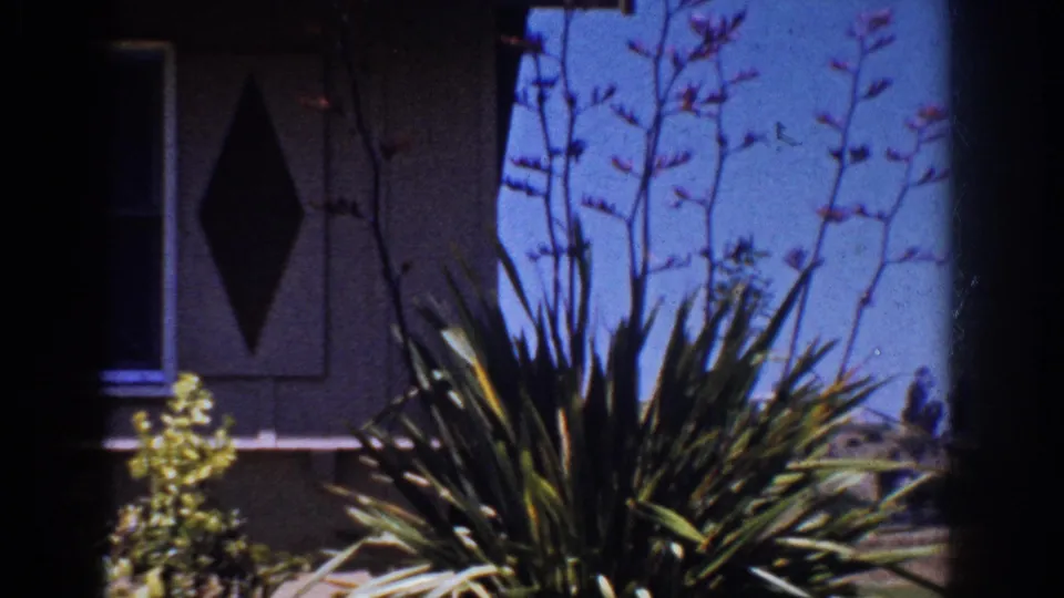 1962 Yorba Linda home-movie still showing the house facade closer, with window, dark diamond detail, tall stalks, and dense garden plants.
