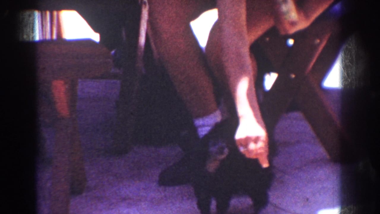 1962 Yorba Linda interior frame with a black puppy rising toward a person's hand, likely reaching for food in a domestic setting.