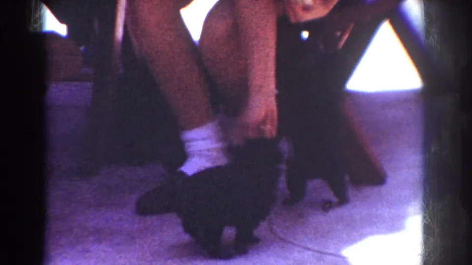 1962 Yorba Linda home-movie frame showing a crouched person interacting with two small black puppies on an indoor carpet.