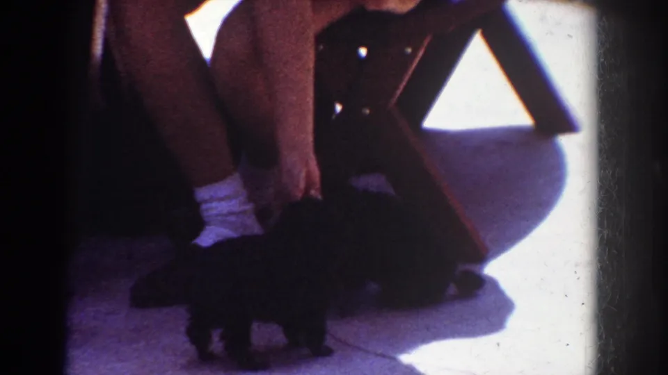 1962 Yorba Linda home-movie frame showing a person in shorts and white socks bending toward small black puppies near a folding chair in hard sunlight.