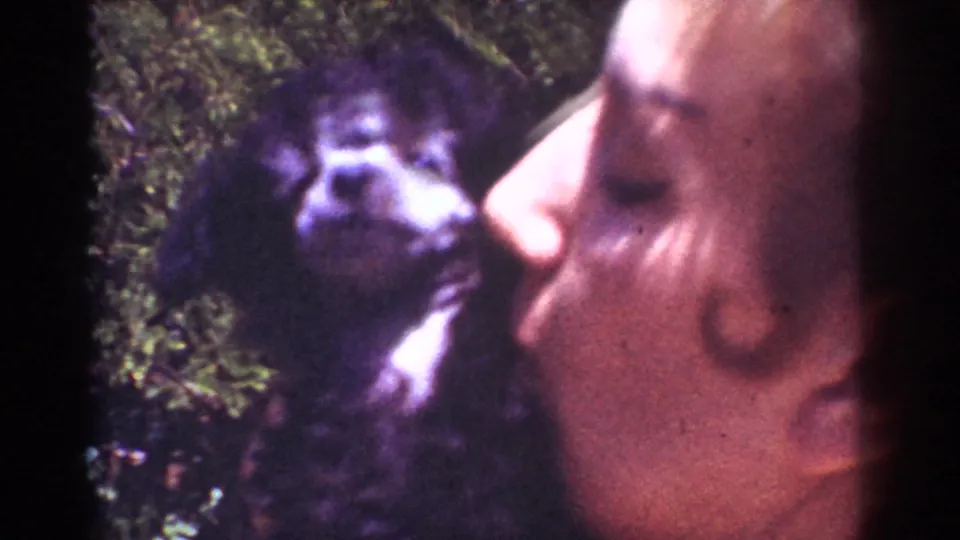 The puppy looks toward the woman's face in a close outdoor 8mm frame from the Yorba Linda home movie.