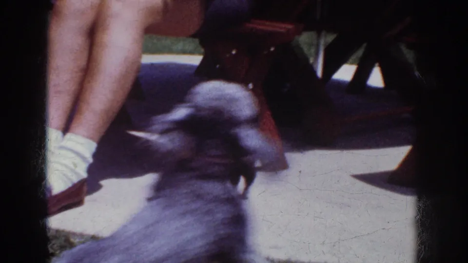 A small gray, curly-haired dog moves around a sunlit bench and the legs of a seated adult in the Yorba Linda home-movie scene.