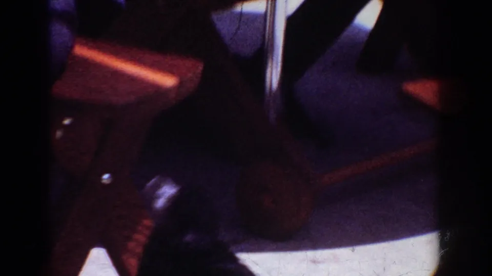 The final frame shows the table structure and deep shadows as the poodle is partly hidden near the lower edge of the scene.