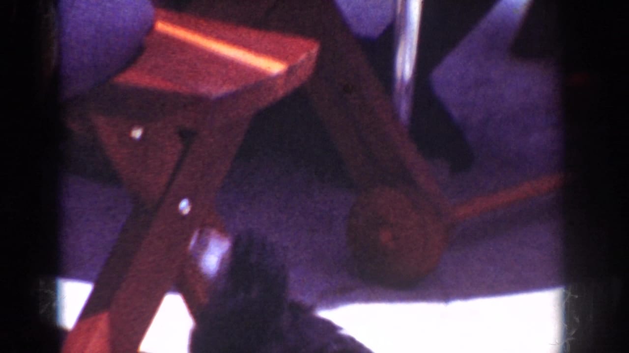 Small black puppy near wooden patio furniture in 1962 Yorba Linda home-movie footage.