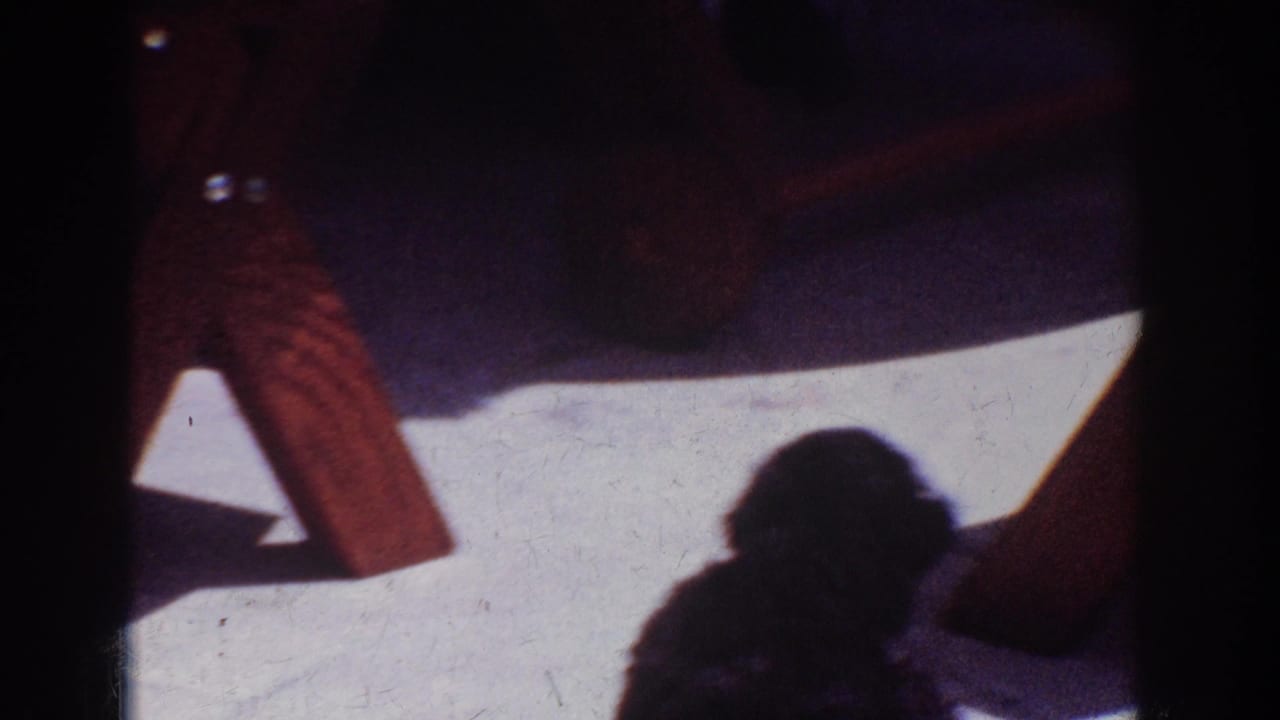 Black puppy seen mostly in shadow near a wooden chair leg on a bright California patio.