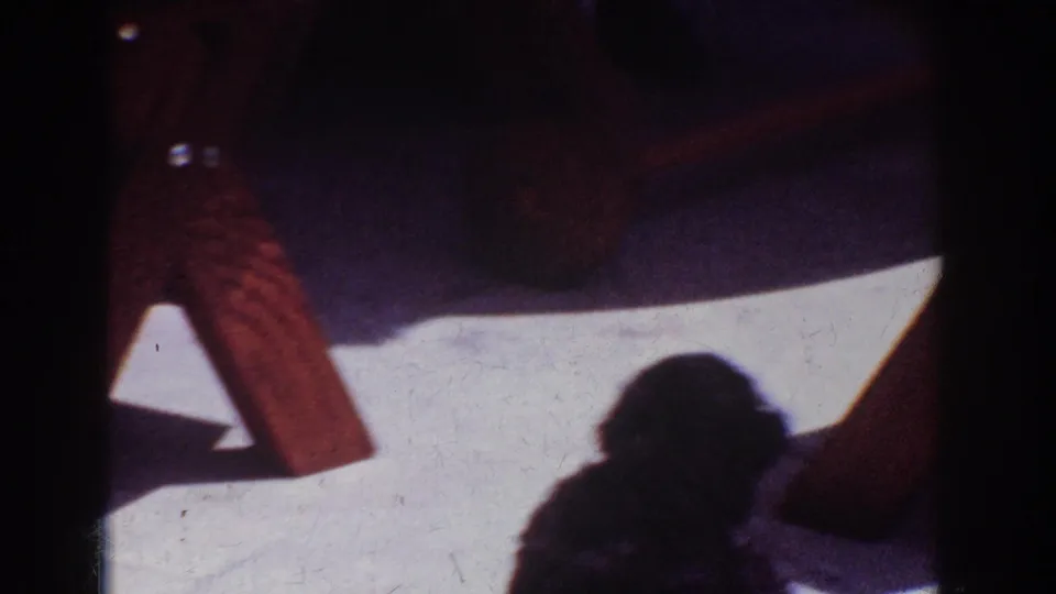 Black puppy seen mostly in shadow near a wooden chair leg on a bright California patio.
