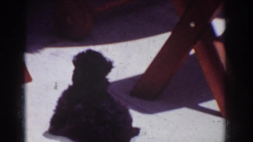 Small black puppy sits or crouches beneath patio furniture shadows in 1962 home-movie footage.