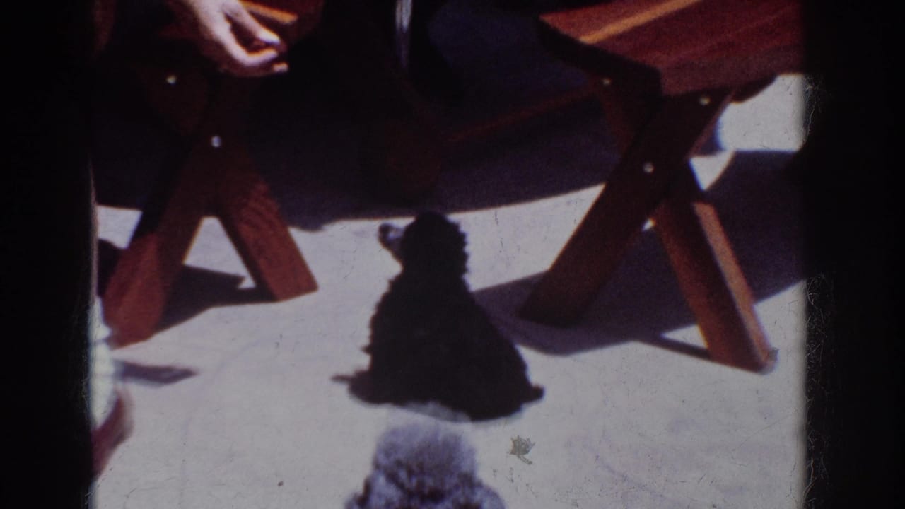 1962 Yorba Linda home-movie frame with a small black dog by a seated woman beside wooden patio furniture.