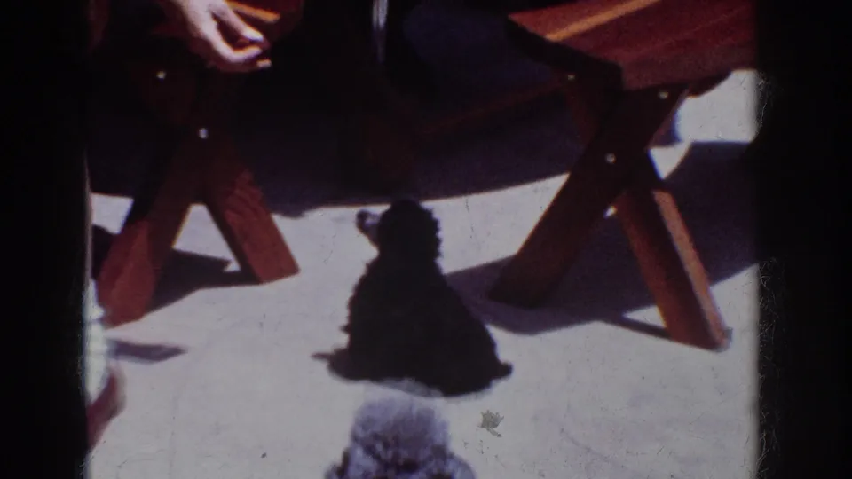 1962 Yorba Linda home-movie frame with a small black dog by a seated woman beside wooden patio furniture.