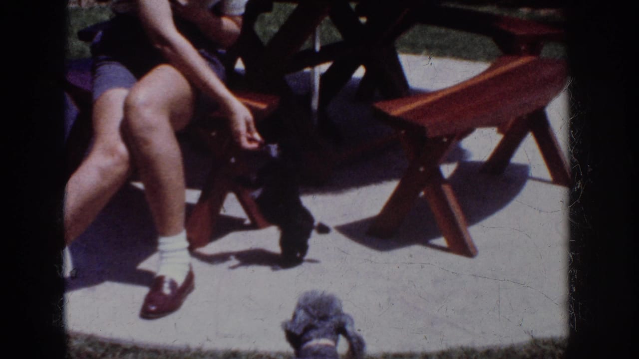 Woman reaches down toward a small black dog beside a wooden patio chair.