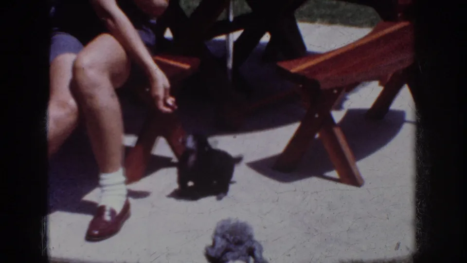 1962 home-movie frame of a black poodle-type dog by the woman's shoes, with a gray dog in the foreground.